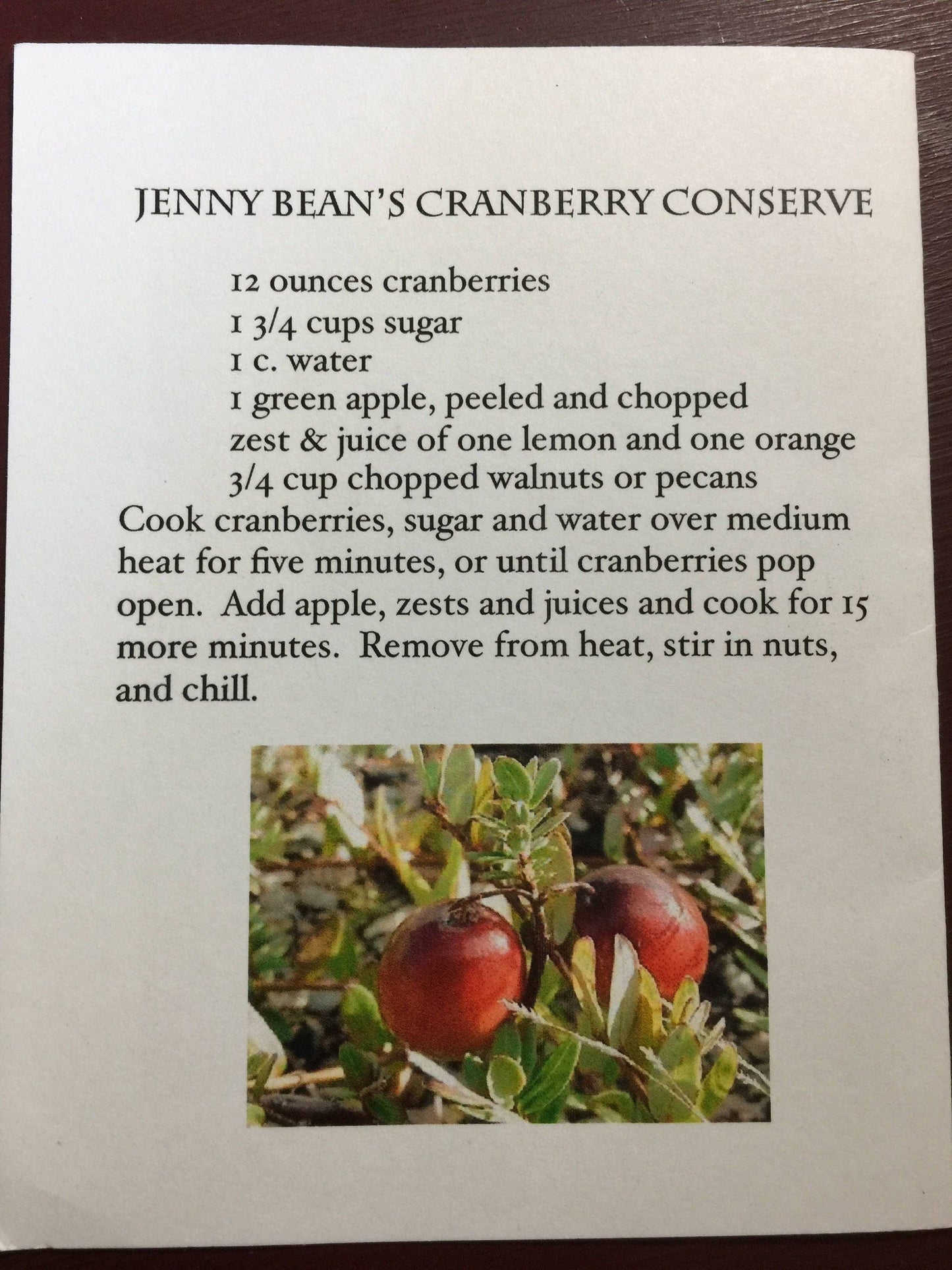 Jenny Bean's Christmas Ornament 2009 Shakespeare's Pedler counted cross stitch pattern