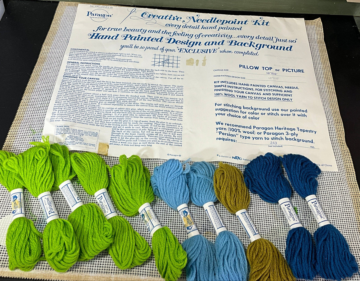 Paragon fanciful floral 16 by 16 inch hand painted canvas needlepoint with wool kit*