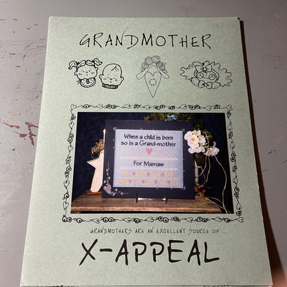 X-Appeal choice of vintage counted cross stitch charts see pictures and variations*