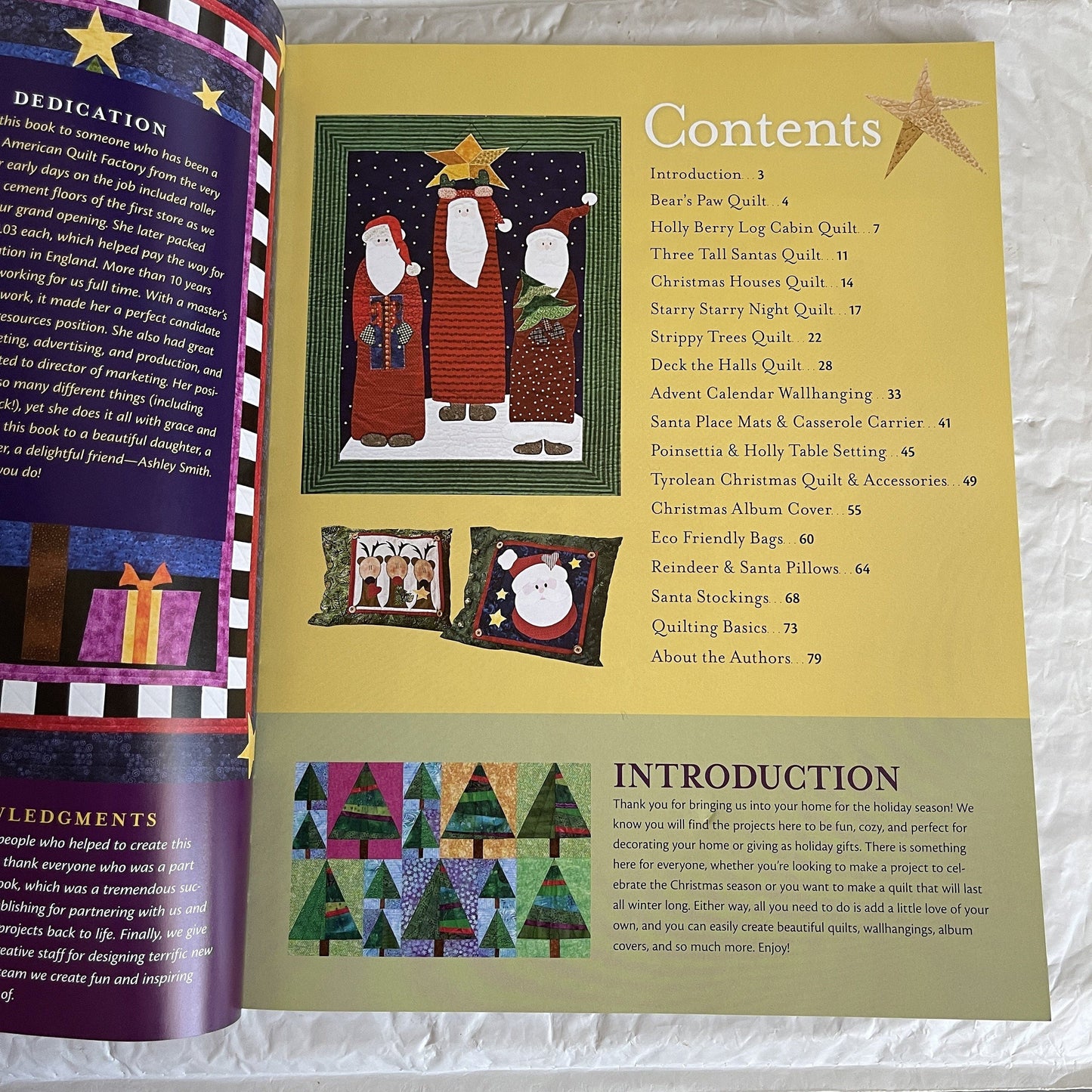 Christmas with Possibilities 16 Quilted Holiday Projects 2010 Softcover Quilting Book